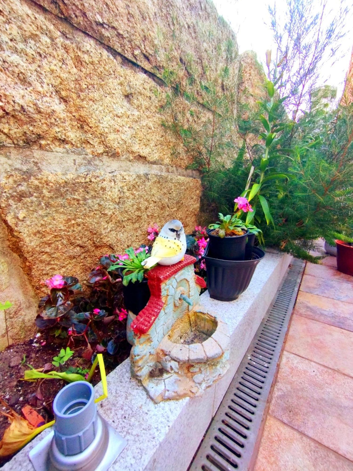Casapuri Daire O Grove Dış mekan fotoğraf